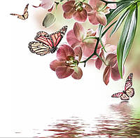 Алмазная вышивка. Набор "Бабочки и орхидеи"  40*40 см, полная выкладка, 32 цвета