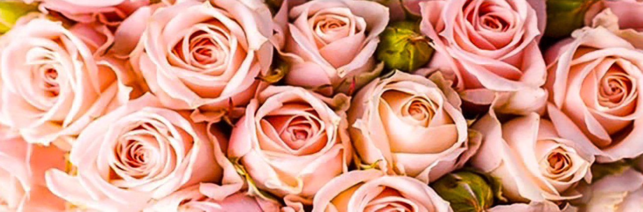 Алмазна вишивка. Набір "Панно з рожевих троянд" 121*40 см, повна викладка, 32 кольору