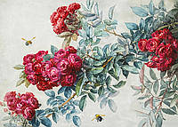 Алмазная вышивка. Набор "Вьющиеся розы" 56*40 см, полная выкладка, 35 цветов