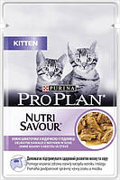 Упаковка влажного корма для котят Purina Pro Plan Kitten Nutrisavour с индейкой 85 г