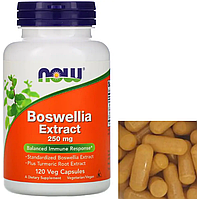 Экстракт босвеллии NOW Boswellia Extract 250 mg 120 veg caps