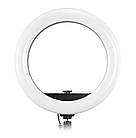 Лампа кільцева ВеаutyLight 54см, фото 2