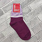Шкарпетки жіночі високі зимові з махрою р.23 асорті з малюнками Житомир 30032502, фото 3