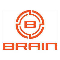 BRAIN