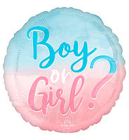 Воздушные шары "Boy or Girl", Ø - 45 см, США