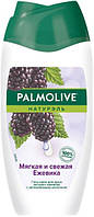 Крем-гель для душа Palmolive "Ежевика" (250мл.)