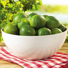 Кругла миска із харчового пластику 1.2 л, фото 3