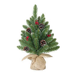 Сосна 0,45 м. Creston Frosted зелена з шишками та ягодами