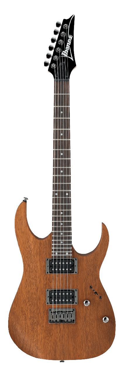 Електрогітара IBANEZ RG421 MOL, фото 1