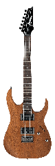 Електрогітара IBANEZ RG421 MOL