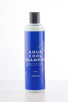 Lebelage Aqua Cool Shampoo Освіжаючий шампунь для чоловіків з екстрактом м'яти з охолоджуючим ефектом (8809317114453)