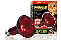 Інфрачервона обігріваюча лампа для рептилій Exo Terra Infrared Basking Spot R30, 150 Вт