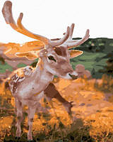 Картина по номерам Красавец олень картины в цифрах животные раскраска 40х50 см Brushme GX41145