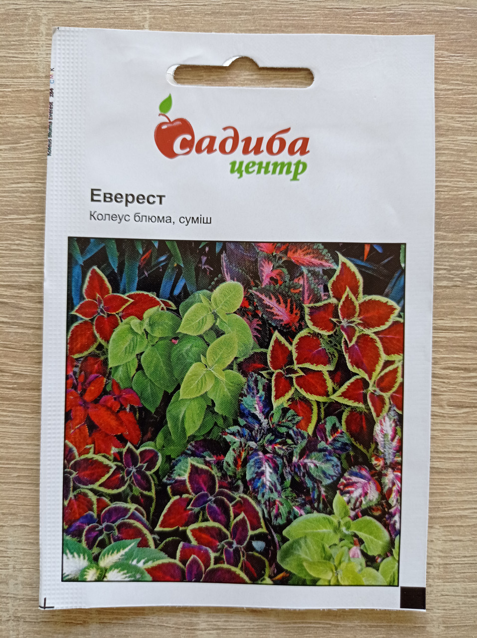 Колеус Еверест суміш низькоросла 0.02 г, Садиба Центр