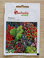 Колеус Еверест суміш низькоросла 0.02 г, Садиба Центр