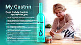 My Gastrin Мій Гастрин 750 мл, Польща DuoLife, фото 5