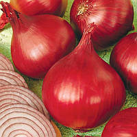 Ред Барон F1 (10 000 нас.) насіння цибулі ріпчастої Bejo