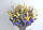 Букет сухоквіти натуральні H47см, фото 7