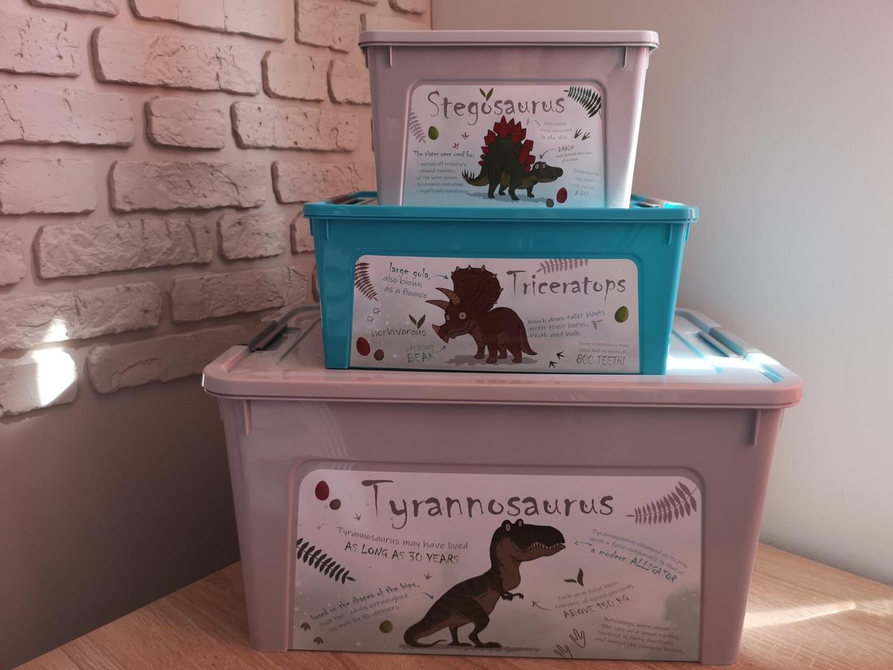 Комплект контейнерів "Smart Box" Алеана з декором Dino _ Динозаври 3 шт