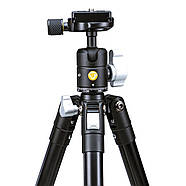 Штатив Vanguard Vesta FB 204ABS (Vesta FB 204ABS), фото 11