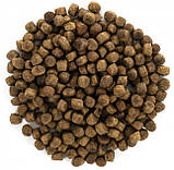 Сухий корм для кішок живуть в приміщенні Brit Care Cat GF Indoor Anti-stress з куркою 0.4 кг, фото 3