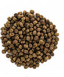 Сухий корм для кішок живуть в приміщенні Brit Care Cat GF Indoor Anti-stress з куркою 0.4 кг, фото 6