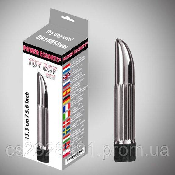 Вібратор Toy boy mini silver mini vibrator