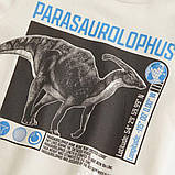 Реглан для хлопчиків Parasaurolophus (Дінозавр), фото 2