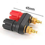 Гніздо акустичне banan, подвійне, монтажне на панелі, пластик, фото 2