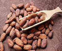 Какао Боби Органічні Перу 2024 Кріоло Сирі 0,5 кг.