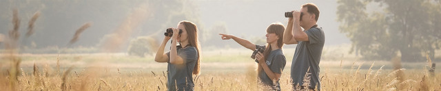 Vanguard Endeavor ED IV