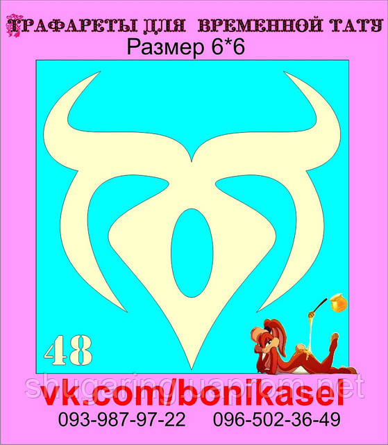 Трафарет для Біо Тату 6*6 48