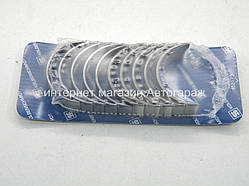 Вкладиші корінні вала на Рено Трафік 06-> 2.0 dCi — KOLBENSCHMIDTt (Німеччина) - 77868600