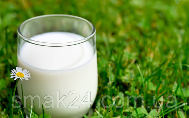 moloko_0.jpg