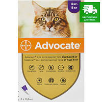 Bayer Advocate для кішок від 4 до 8 кг, 1 пак.