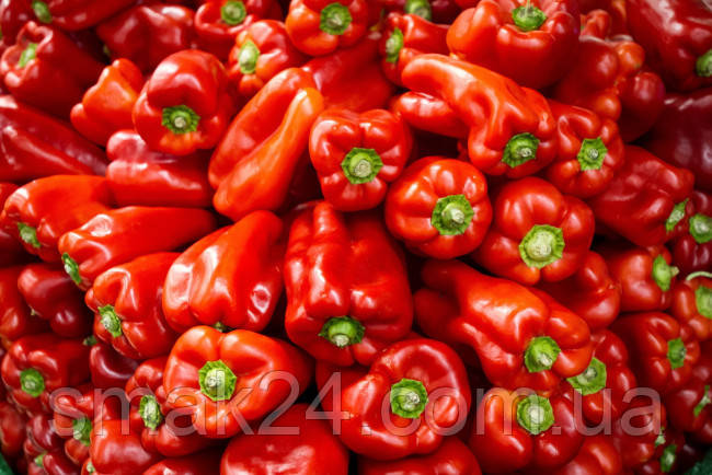 eda_perec_paprika_fon_1164270.jpg