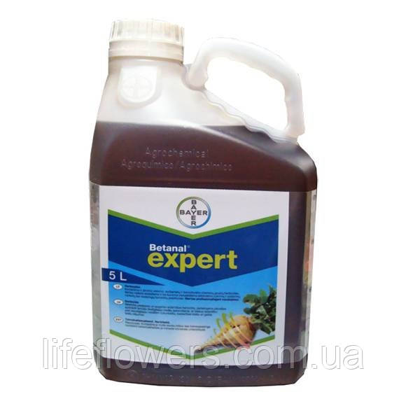 Гербіцид Бетанал Експерт 5л