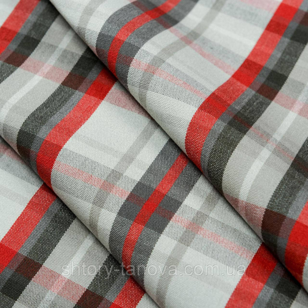 Дралон клітина, фото 1