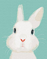 Картина по номерам Белый кролик, 40х50 (G504)