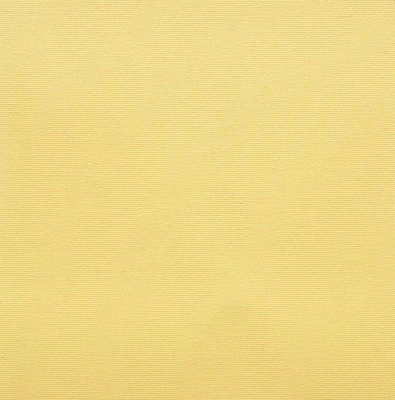 Рулонні штори А 616, Польща, фото 1