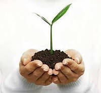 Добрива для рослин