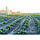 Агроволокно Growtex 50 г/м2 1,07м х 100м чорне для мульчування, фото 6