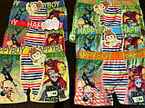 Труси дитячі 2_4 роки, фото 2