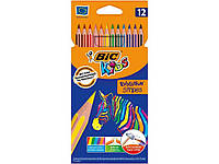 Олівці кольорові Єволюшн Стріперс , 12 шт bc9505221 ТМ BIC