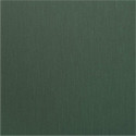 ElZinc Rainbow Green Титан-цинк патинований зелений (Іспанія)