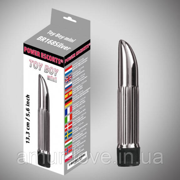 Вібратор Toy Boy Mini Silve, фото 1