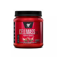 Послетренировочный комплекс BSN Cellmass 2.0, 485 грамм Арбуз