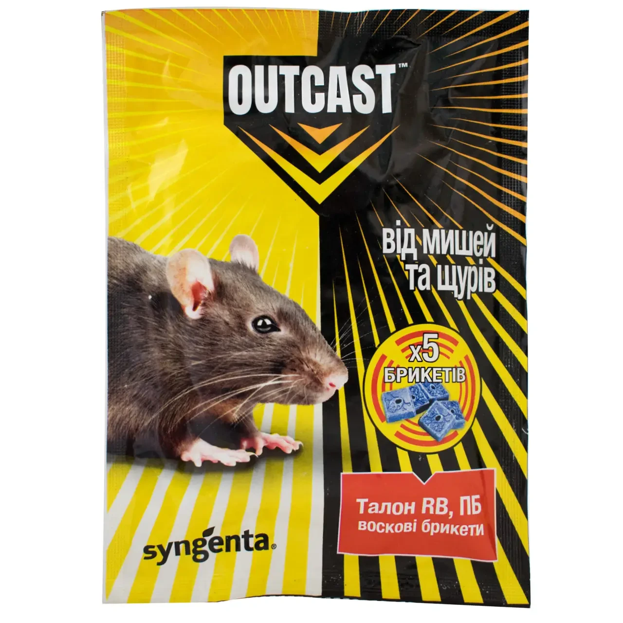 Талон брикет (100 г), фото 1