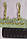 Бахрома салатна з китицями стеклярус, фото 7
