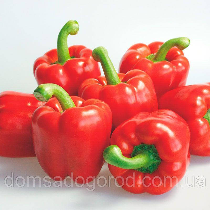 Перець БАНКЕРС F1 | BANKERS Enza Zaden 500 насінин